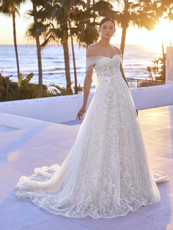 Dupes for deep v strapless a-line gowns? I like the silhouette of the  Pronovias Hopkins but absolutely love the rainbow pastel sequins of the  Willowby Aquarius. Looking to spend <$500 because this