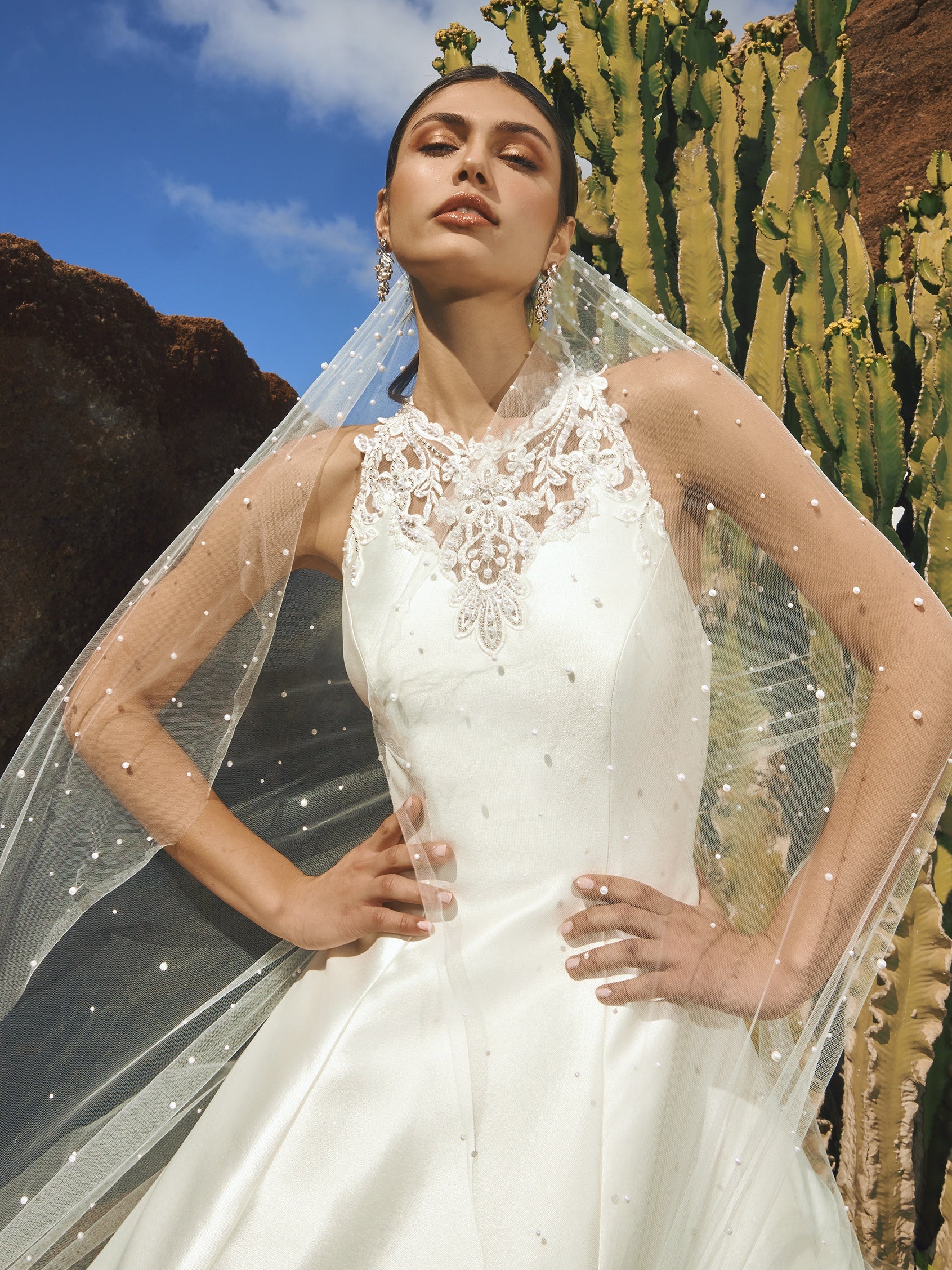 Velos de Novia Cortos y Largos Pronovias