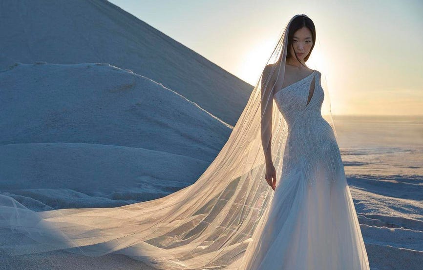 Dunkelhaarige Braut in weißem Off Shoulder Brautkleid mit Glitzerverzierungen und langem durchsichtigen Schleier in der Wüste stehend.