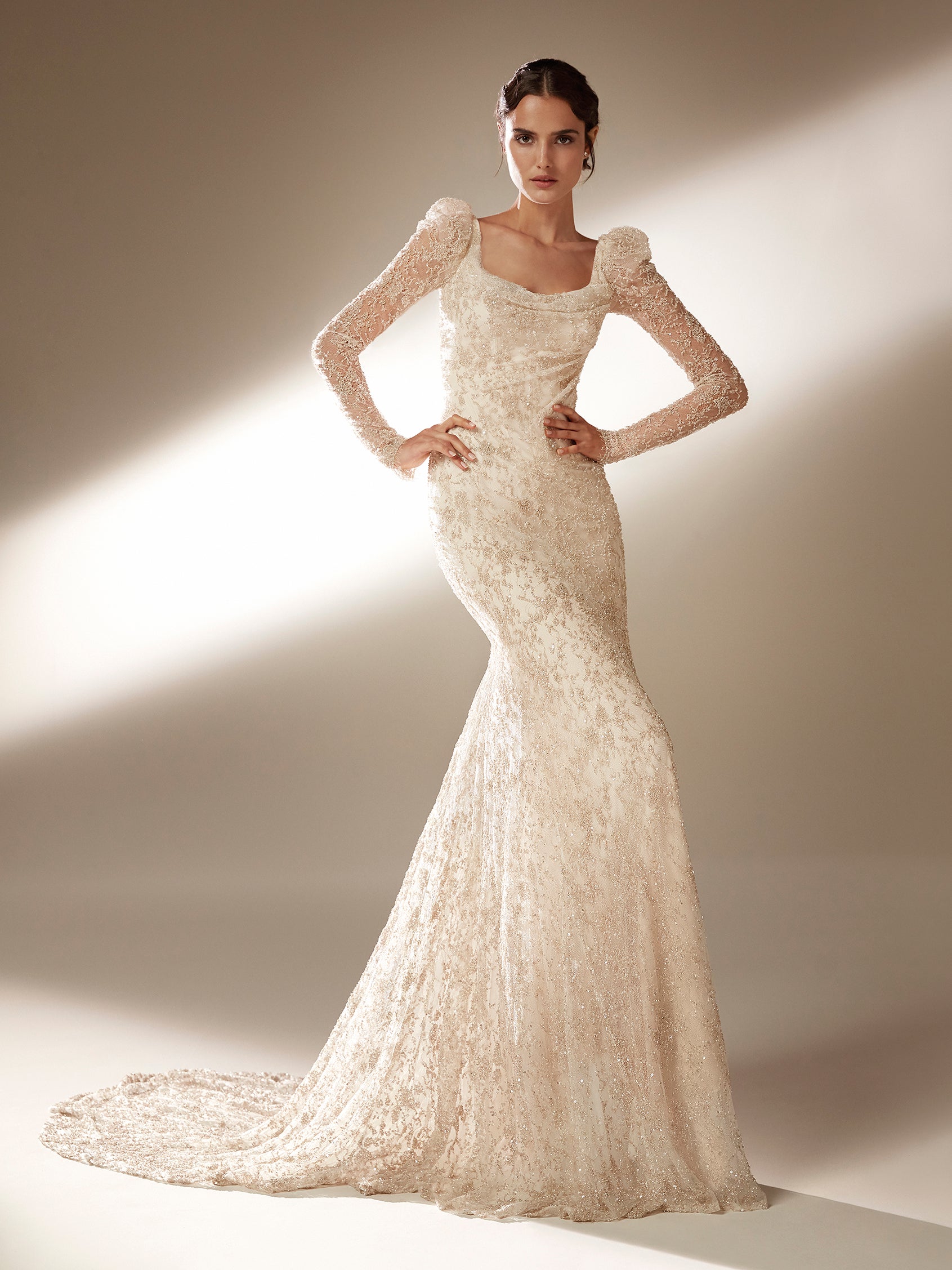 Pronovias long deals sleeve wedding