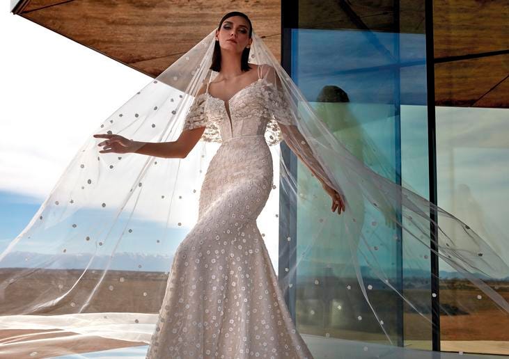 Dark-haired woman wearing a V-neck wedding dress and long beaded wedding veil.