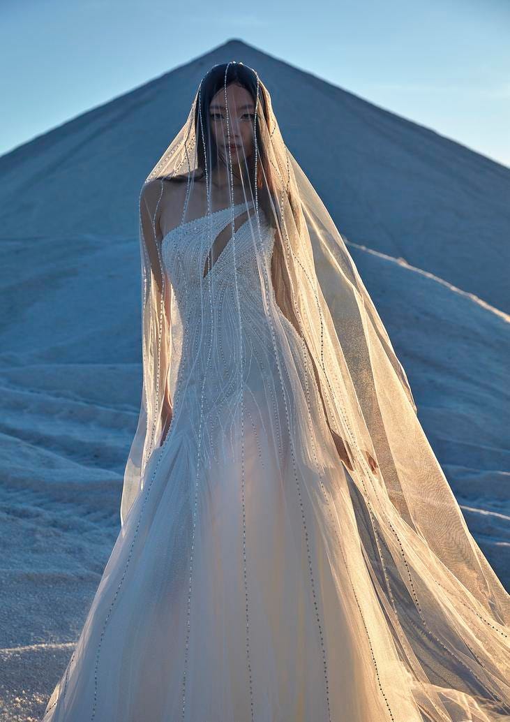Donna in primo piano che indossa un abito da sposa moderno e un lungo velo di tulle con dettagli argento a contrasto.